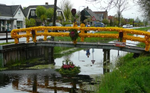 Mit Tulpen geschmückte Brücke
